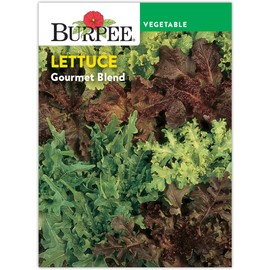 Burpee 'Gourmet Blend' Lettuce Seeds - 680mg Non-GMO Seed Packet for Home Gardening - Fast Growing Mixed Lettuce, Colorful Loose Leaf Variety, Heat Tolerant (Gourmet Blend Lettuce Seeds)