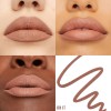 Delineador De Labios Lifter Liner De Maybelline 05 On It