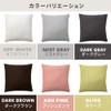 Iris Plaza Cushion Cover, Made in Japan, Simple, 100% Cotton,