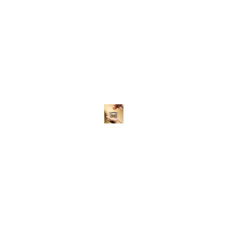 네이처리퍼블릭 [2026 Monde Selection 11-Year Award Winner] Ginseng Royal Silk