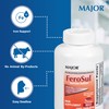 Major Ferosul - Ferrous Sulfate 325mg Tablets with 65mg of
