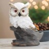 4.5"H White Owl Sitting on Rock Figurine Ornament Home Decor Unique Gift