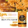 インフィニティー 香るフレグランス 金木犀 1粒315mg[内容物200mg]×60粒