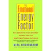 The Emotional Energy Factor: The Secrets High-Energy People Use to