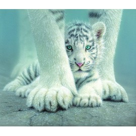 SUNSOUT INC - Sheltered - 550 pc Jigsaw Puzzle by Artist: Collin Bogle - Finished Size 15.5" x 18" - MPN# 21852