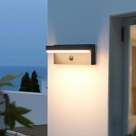 Dandray Outdoor Solar Wall Light, Solar&USB Charging Powered Lamps Dusk to Dawn Sensor with 2 Lighting Modes, Rechargeable IP54 Exterior Solar Porch Lights Patio Fence Outdoor Light Fixture