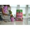 Miracle-Gro Orchid Potting Mix Coarse Blend, For Indoor or Outdoor