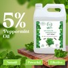 Minty Ant Killer - Natural 5% Peppermint Essential Oil Spray