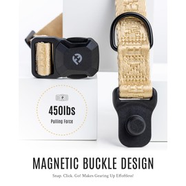 Fei and Eve Dog Collar with Magnetic Buckle for Small Medium Large Dogs, Adjustable Sizes, Champagne S