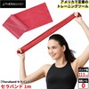 D&M Theraband Training Band, For Beginners, 3.3 ft (1 m),
