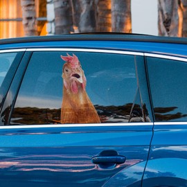 3D Window Car Chicken Crack Sticker,Funny Chicken Car Decals,for Wall Laptop Car Window Truck Bumper Refrigerator 11.8x6.8in