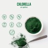 Chlorella Orgánica En Polvo 1 Kg Vizana Nutrition