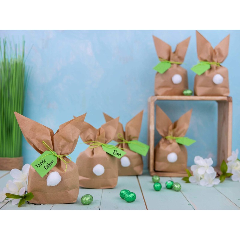 Easter Bunny Paper Gift Packaging Set for DIY Craft and