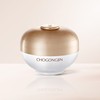 Missha Chogongjin Seolbon Jin Spot Cream 60ml / 미샤 초공진 설본 진 기미 크림 60ml