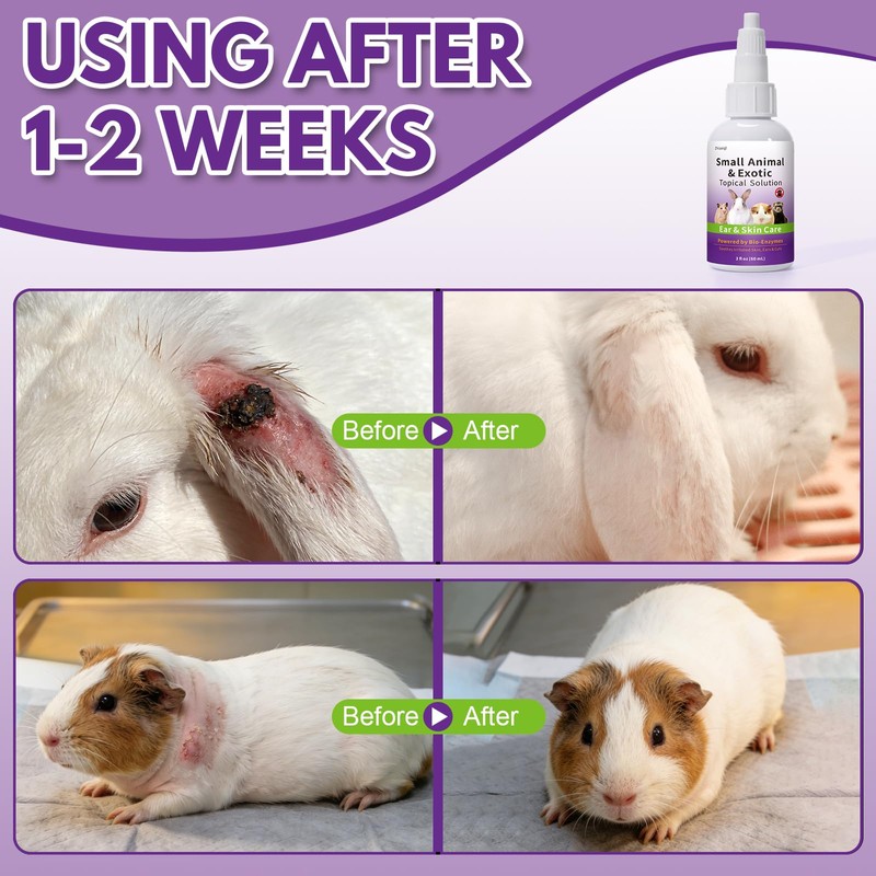 Zhizaiql Topical Solution for Rabbits, Guinea Pigs & Exotics, Relieves