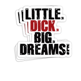 Little Dick, Big Dreams Funny Saying Men 4x3 Decals Stickers for Laptop Window Car Bumper Helmet Water Bottle (3 PCs/Pack)