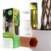 BioGreen Hydro Wine Irrigation System for Balcony and Pot Plants,