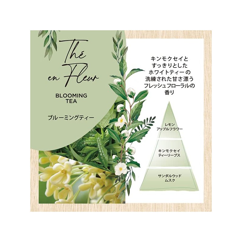 Interior Garden Nature Blooming Tea, Pack of 40