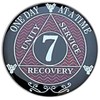 7 Year AA Coin Silver Color Plated-Medallion, Recovery Chip, 12