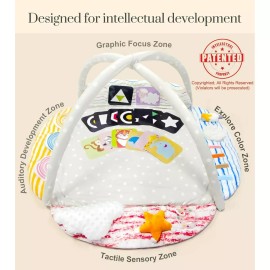 Baby to Toddler Gym Play Mat, Motor Skills Development, Activity Learning Cards