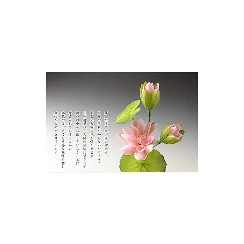 Buddhen Endo Brand: Buddha Equipment, Buddha Flowers, Silk Flower (Real