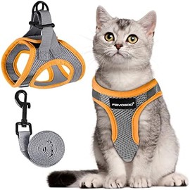 FAYOGOO Arnés para Gatos a Prueba de roturas con Correa, arnés para Gatos antifuga y Ajustable Correa para Gatos con Bandas Reflectantes para la