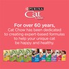 Purina Cat Chow Complete High Protein With Salmon Cat Food