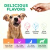 Dog Vitamins and Supplements - 150 Dog Multivitamin Chewable -