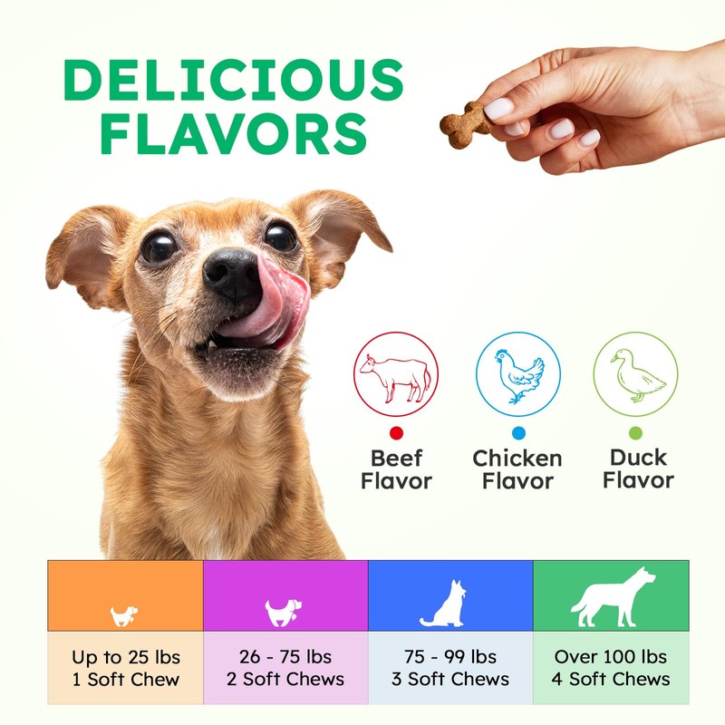 Dog Vitamins and Supplements - 150 Dog Multivitamin Chewable -