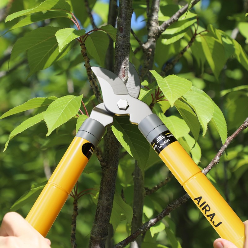 AIRAJ 16-24'' Extendable Loppers for Tree Trimming | Branch Cutter