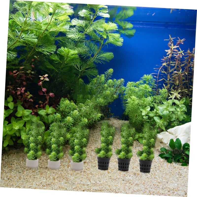 Outanaya 15pcs Water Plant Fixing Ring Set Includes Breathing Rings