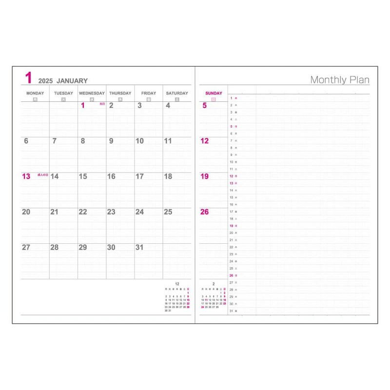 Logical Diary 2025 Cover Type/B5/Blue NS-B506-25B