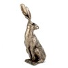 Sitting Hare Small 25cm tall Cold Cast Bronze Sculpture -