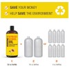 Pure Cold Pressed Apricot Kernel Oil - Big 32 fl