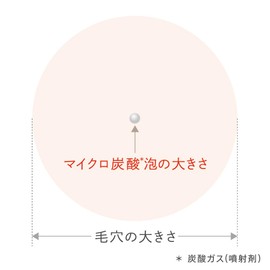 Est AC Purify Massage Wash