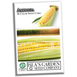 Ambrosia Bi-Color Sweet Corn Seeds for Planting, 50+ Seeds Per Packet, (Isla's Garden Seeds), Non GMO Seeds, Botanical Name: Zea mays, Great Home Garden Gift