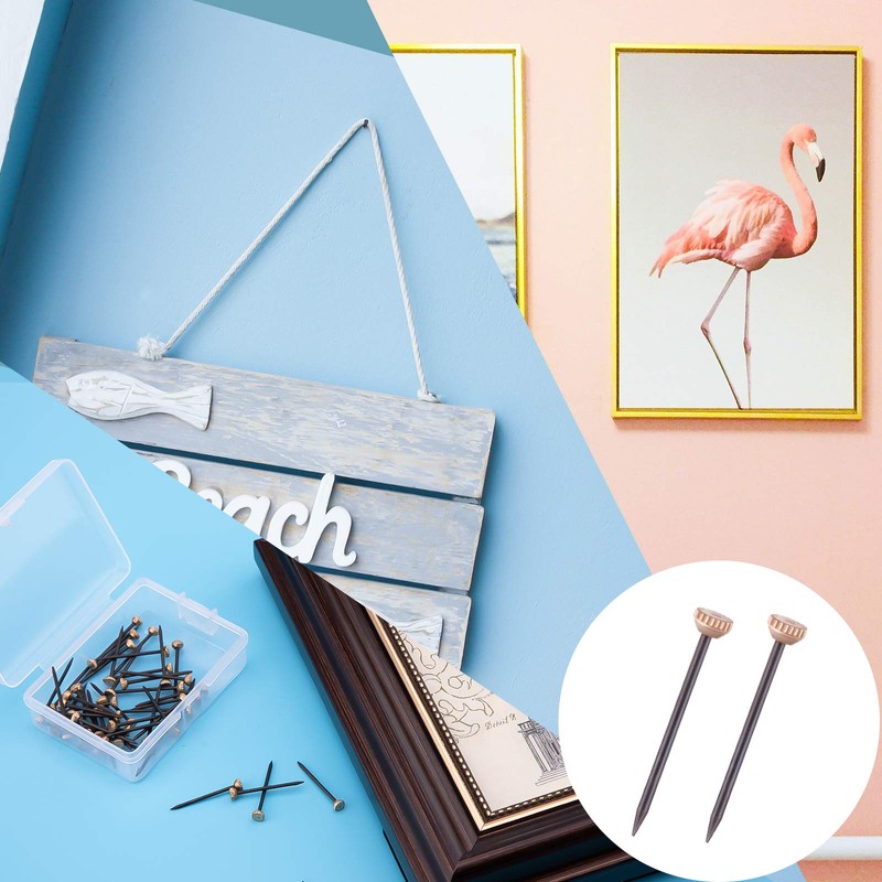 AIEX 50Pcs Picture Hanging Nails Picture Hang Solutions Plaster Picture