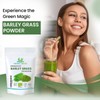 Herbal Magic's Organic Barley Grass Powder-Irrestibily Delicious.Sparkle Your Smoothies,Milkshakes,Recipes.Nutritious wholefood