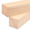 GNIEMCKIN 10 Pack Basswood Carving Blocks, 8x2x2 Inches Basswood Blocks