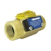 DIGITEN FS-C02 G3/4" BSP Male Thread Brass Water Flow Switch
