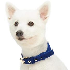 Blueberry Pet Classic Modern Iconic Matching Dog Collar and Rope Leash Set in Blue, Adjustable Neoprene Padded Collar with 4 ft Neoprene Handle Leash for Small Dogs