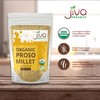 Jiva Organics Proso Millet 2 LB Bag | Whole Grain,