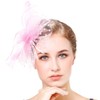 Women's Fascinator Hat Feather Headband Fascinator Flowers Mesh Lace Clip