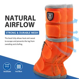 Harrison Howard Horse Fly Boots Perfect Contoured Fit Leg Guards Dense Mesh Boots with Ventilated Comfort Reliable Protection from Summer Elements Set of 2 Vibrant Orange Large