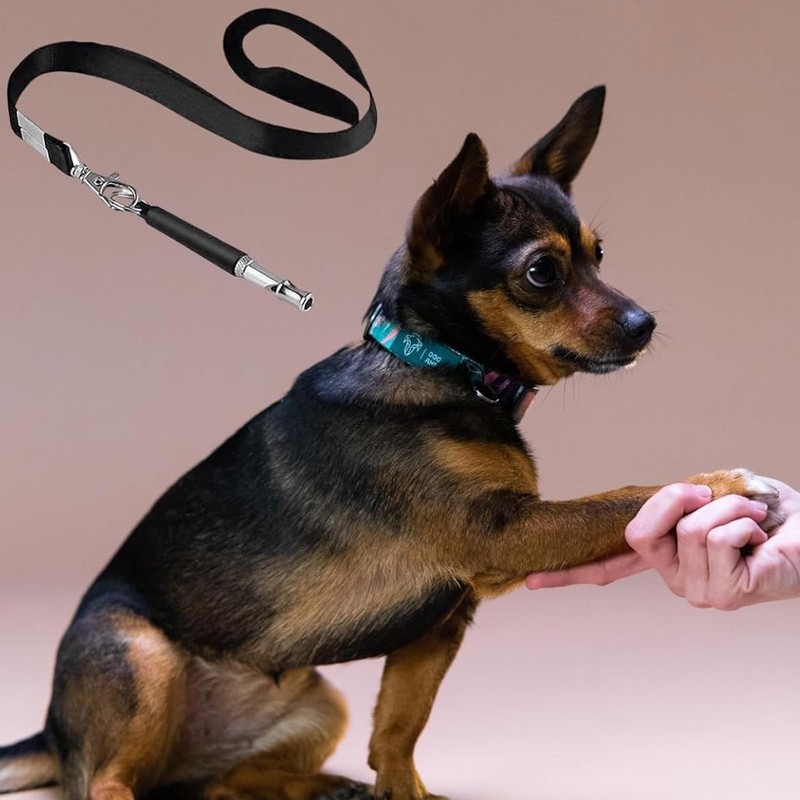JOJIU 2 Pack Dog Whistle,Adjustable Frequency Silent Dog Whistle,Dog Training