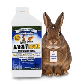 Nature’s Mace Rabbit MACE, Deterrent for Yard, Rabbit Repellent Outdoor, Mint Rabbit Spray, Garden, Lawn, Keep Rabbits Out, 40oz Concentrate, Covers 28,000 Sq Ft, Safe Around People, Pets, Plants