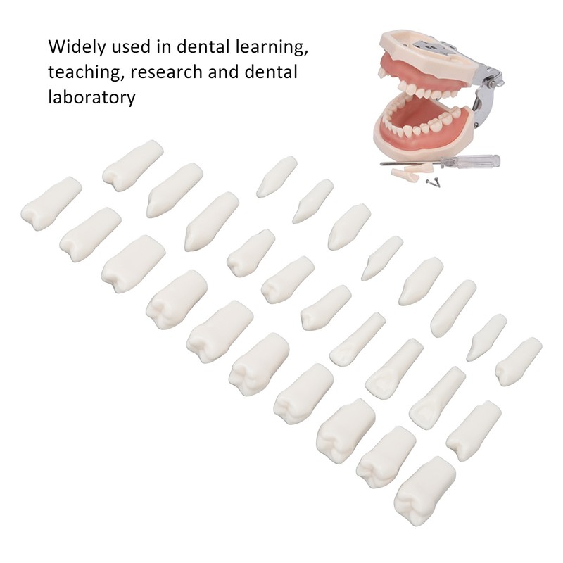 28Pcs Removable Teeth Piece Durable Plastic Removable Design False Teeth