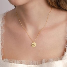 Fremttly Oval Coin Pendant Necklace 12 Month Birth Flower Disc Necklace 14K Real Gold Dainty Coin Disc Pendant Necklace-Apr-Daisy-4