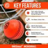 ONEGlobal Soft & Safe Practice Cricket Ball | Soft &
