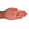 SKIR'CO (Pack of 300) 4.0 x 12 mm Galvanised Steel